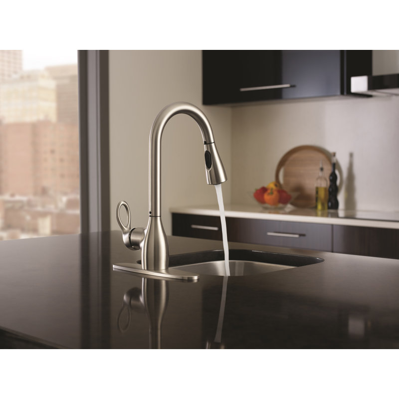 Moen Kleo Single Handle Kitchen Faucet with Duralock and Reflex